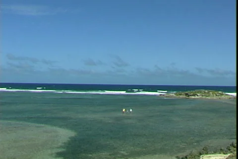 Shallow Sea-pan Video stock 820269