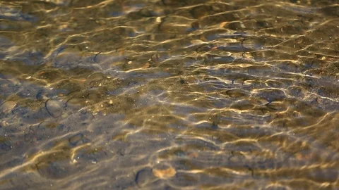 Shallow Section of the of the Truckee River in Down Town Reno Stock Footage 101865830
