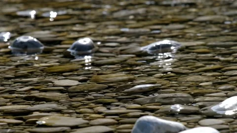 Shallow shore on a river with cristal clear water flowing over round stones. Stock Footage