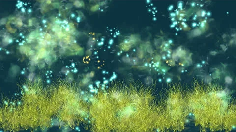 Shallow. Small fish Stock Footage 24811963