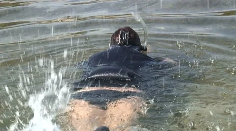 Shallow snorkeling 스톡 동영상 7138399