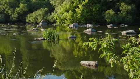 Shallow stones river Stock Footage 246088315