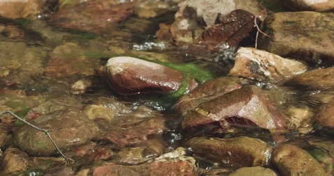 Shallow stream cascading and flowing over rocks, stones and pebbles Video stock 99364546