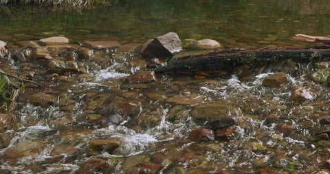 Shallow stream cascading and flowing over rocks, stones and a log Stock-Footage 99427157