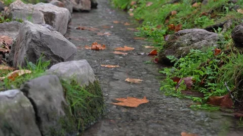 Shallow stream flowing between mossy rocks and green grass with fallen leaves Stock Footage 318397629
