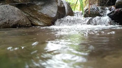 Shallow Stream Flowing in Forest – Clear Water Over Stones Stock Footage 330548158