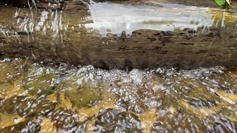 Shallow Stream Flowing Over Rocky Riverbed Stock Footage 287071984