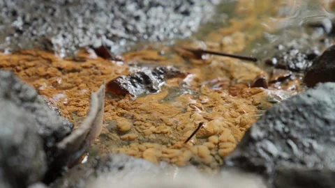 Shallow stream flows on the ground covered in bright orange metal rust Stock Footage 194147970