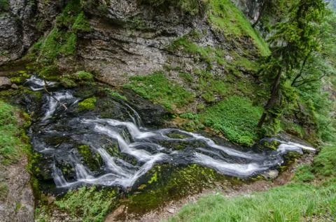 Shallow stream in nature while hiking Foto stock
