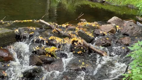 Shallow stream in public park, Oulu Finland Stock-Footage 316687468