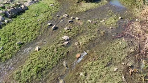 Shallow stream on sunny day Stock Footage 164651851