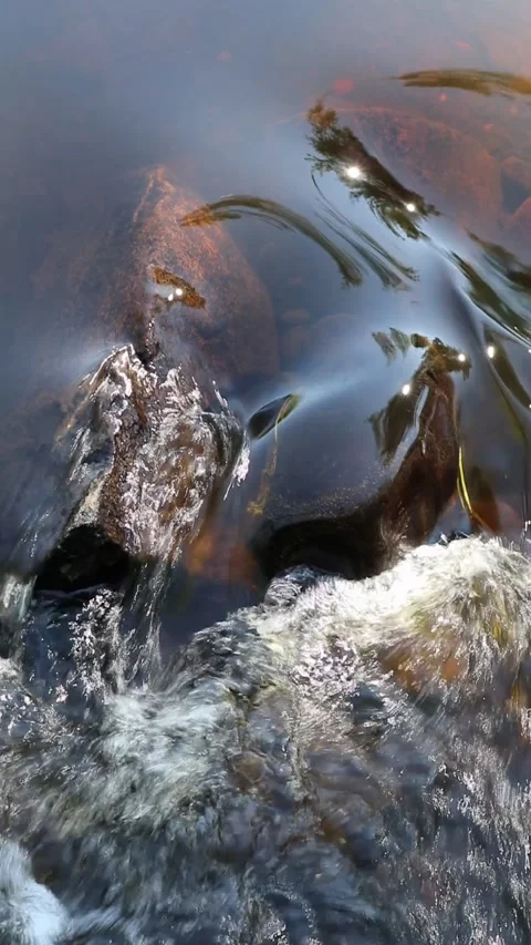 Shallow stream in sunny public park, Oulu Finland Video stock 280976426