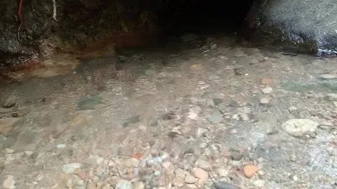 Shallow Stream Water Flow Over Stones Clear Natural Texture Stock Footage 330570904