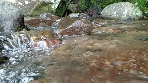 Shallow Stream Water Flow Over Pebbles Natural Close Up Scene Stock Footage 330582811