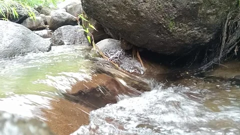 Shallow Stream Water Flowing Around Rocks – Natural Forest River Stock Footage 330552305