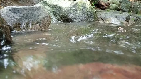 Shallow Stream Water Flowing in Natural Environment Stock Footage 330517344