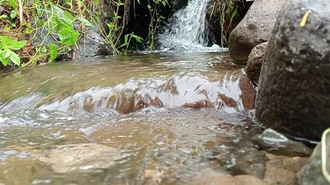 Shallow Stream Water Moving Gently Over Rocky Bed Stock Footage 330336134