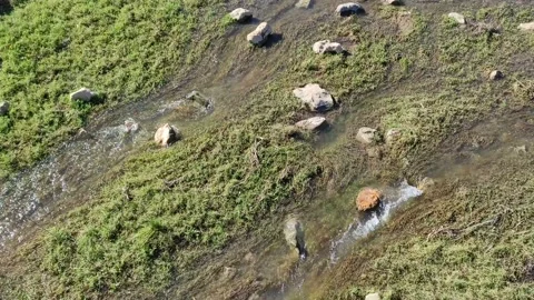 Shallow streams after heavy rain Stock-Footage 164651901