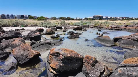 Shallow tidal pools and boulders at Jawbone Marine Sanctuary in Williamstown Vídeos de archivo 335965087