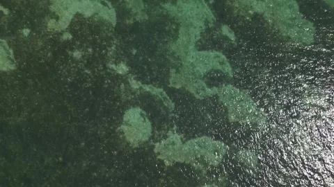 Shallow Tropical ocean Stock Footage 263497151