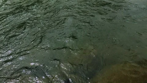 Shallow Tropical River with Transparent Water and Smooth Stones Stock Footage 334765152