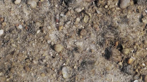 Shallow Tropical Seabed Texture With Flowing Water Over Sand and Coral Fragments Видео 337022375