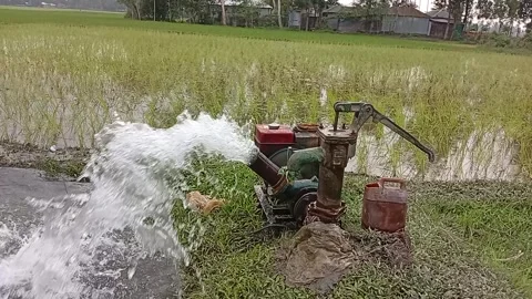 Shallow Tube Well Machine Pumping Water - Irrigation in Agriculture Field Stock Footage 341401496
