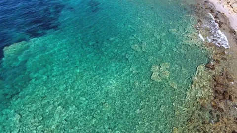 Shallow underwater reef shows rocks algae - Undersea Ecology and Coastal Waters Stock Footage 339942578
