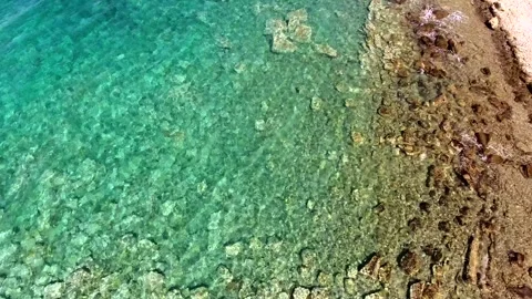 Shallow underwater reef shows rocks algae - Undersea Ecology and Marine Research Stock Footage 339942607