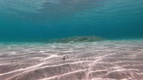 Shallow Underwater Sand Ripples and Distant Seagrass Mound, Greece Stock Footage 344597057