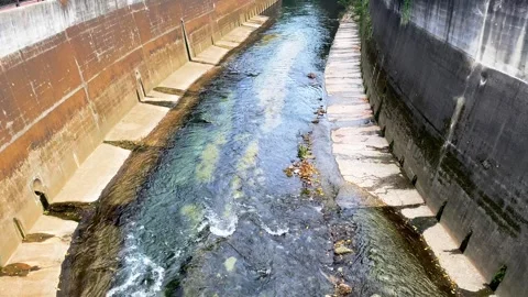 Shallow Urban Stream with Moss and Runoff – Aerial View of Tokyo Waterway Stock Footage 283721115