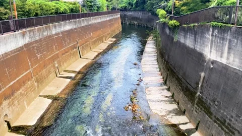 Shallow Urban Stream with Moss and Runoff – Aerial View of Tokyo Waterway Stock Footage 283721129