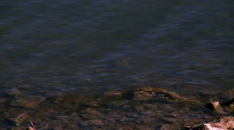 Shallow Water and River Bed Shore Stock Footage 44442734