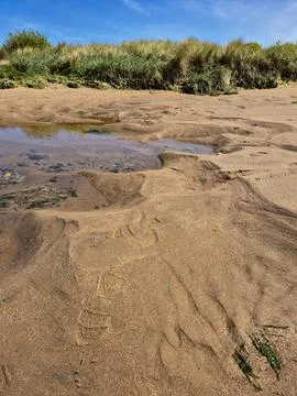 Shallow water on the beach Stock Photos