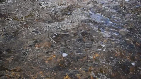 Shallow water current Stock Footage 130640388