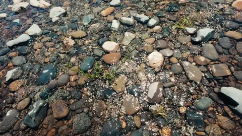 Shallow water flowing over river rocks in summer Video stock 276511316