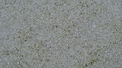 Shallow Water Flowing Over Wet Sand During Low Tide Stock Footage 336435774