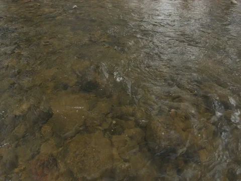 Shallow water flowing under a bridge on a snowy winter day Stock Footage 84502813