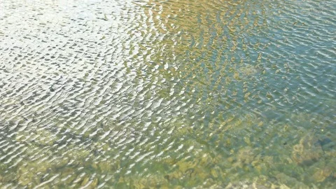 Shallow Water Video stock 90975042