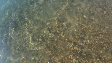 Shallow water Stock Footage 123379878