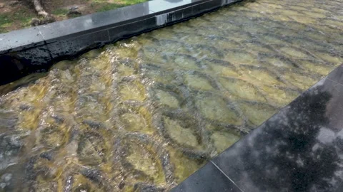 Shallow water glides over a bed of rocks along a modern water feature Stock Footage 320856313