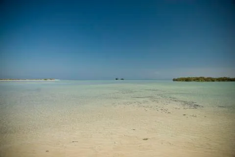 Shallow water lagoon with clear blue sky. nabq national park, re Foto stock