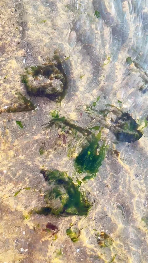 Shallow Water Light Reflections Over Sand and Stones Video stock 345088185