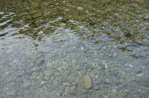 Shallow water Stock Photos