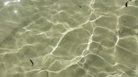 Shallow water reflection, Seychelles flats. 스톡 동영상 139089522
