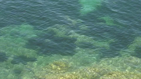 Shallow Water - Rippling Waves In Clear Tropical Sea Stock Footage 109235066