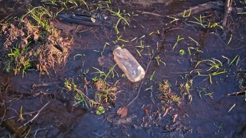 Shallow Water Stream Creek Polluted with Plastic Bottle Garbage Stock Footage 304949526