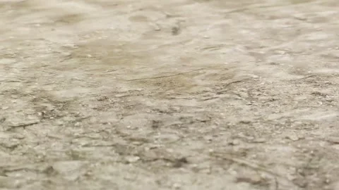 Shallow water stream flowing continuously over sandy riverbed surface Stockbeeldmateriaal 347010508