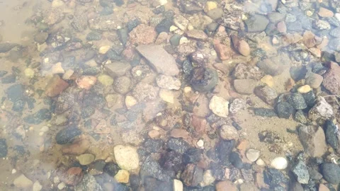 Shallow water. Through clear, transparent water, can see sandy bottom with small 스톡 동영상 311151973