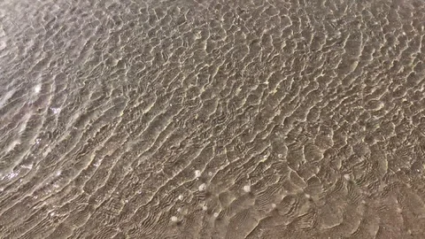 Shallow Water Wind Ripple Stock Footage 121767866